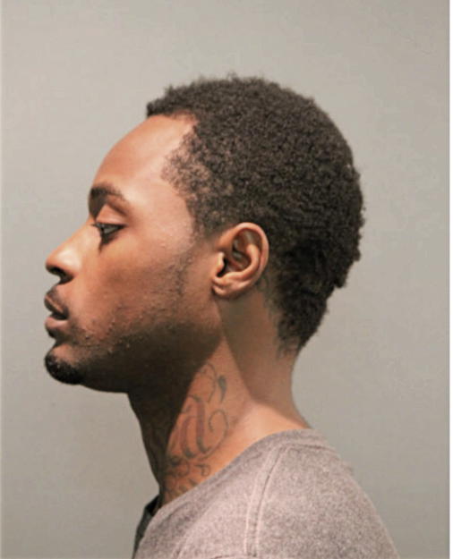 JAVON C STEWART, Cook County, Illinois