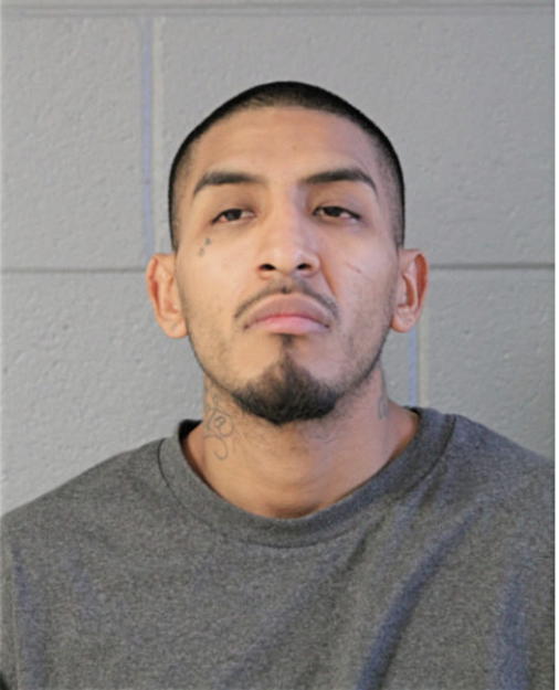 RAFAEL UGARTE, Cook County, Illinois