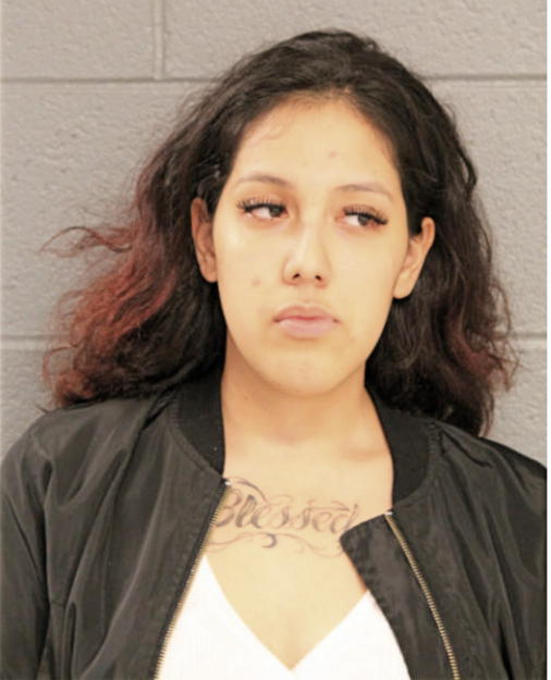 VIVIANA ALBA, Cook County, Illinois