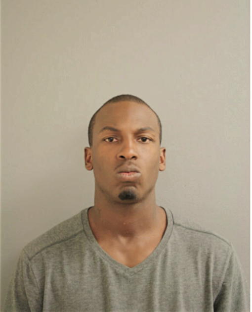 CHRISTOPHER J ALLEN, Cook County, Illinois
