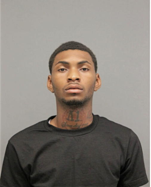 CHRISTOPHER D BLISSIT, Cook County, Illinois