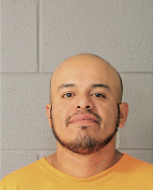 SALVADOR CASTELLANOS, Cook County, Illinois