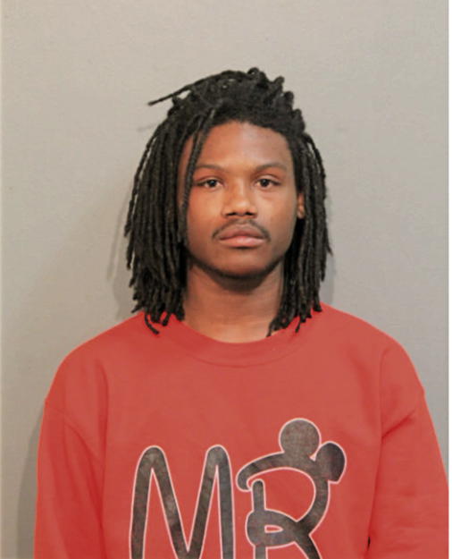 STEPHON L ELERBY, Cook County, Illinois