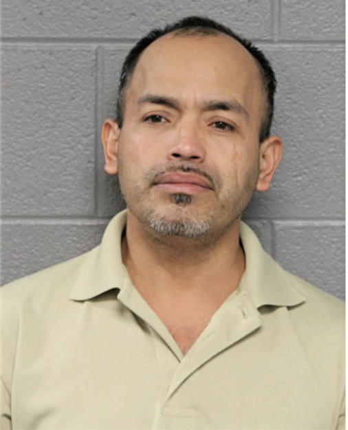 MOISES ENRIQUEZ, Cook County, Illinois