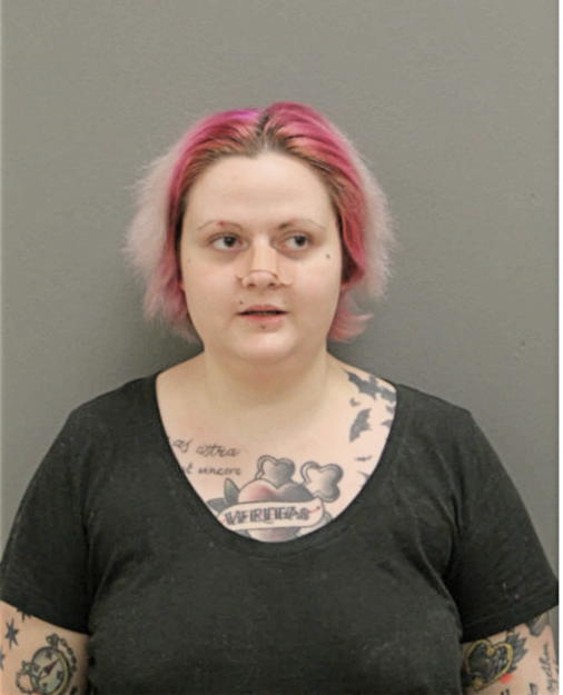 LAUREN M FANELLI, Cook County, Illinois