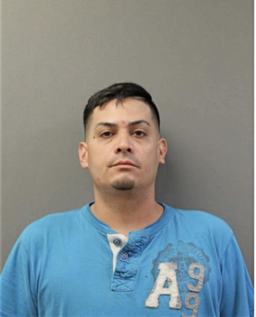 CHRISTIAN L FONTANEZ, Cook County, Illinois