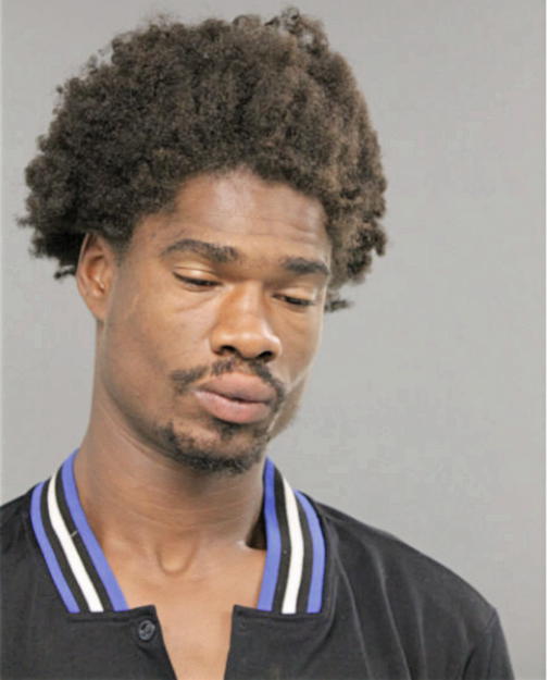 DARNELL J GHOLSON, Cook County, Illinois