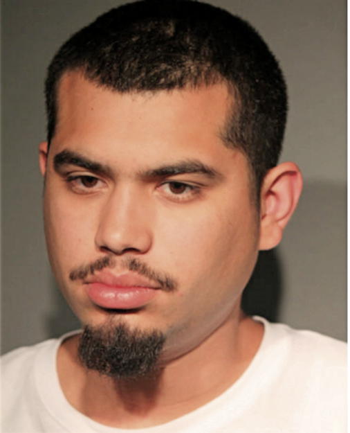 STEVEN GONZALEZ, Cook County, Illinois