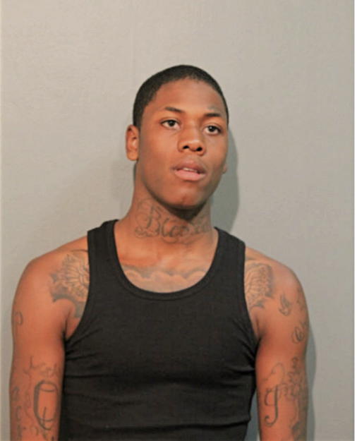 QUASHAY T JOHNSON, Cook County, Illinois