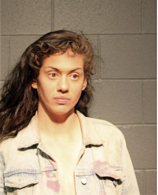 NICOLE A LEVENCHUCK, Cook County, Illinois