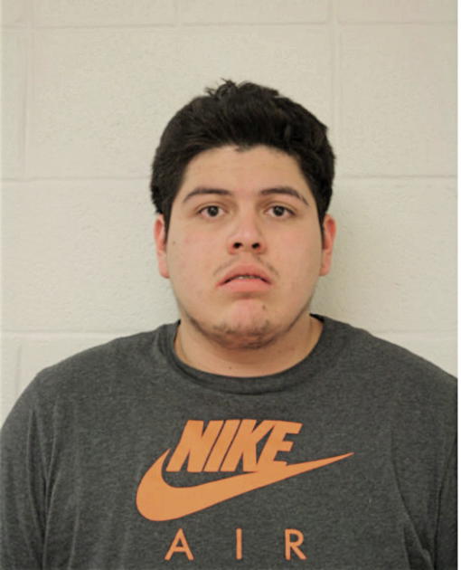 CARLOS A MARTINEZ, Cook County, Illinois