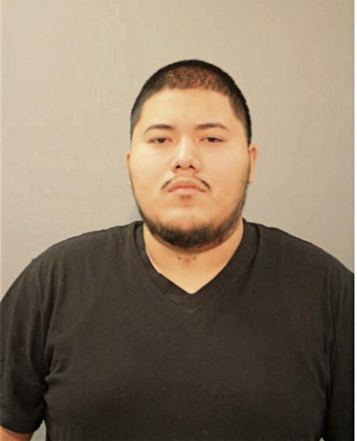 JAVIER MENDOZA, Cook County, Illinois