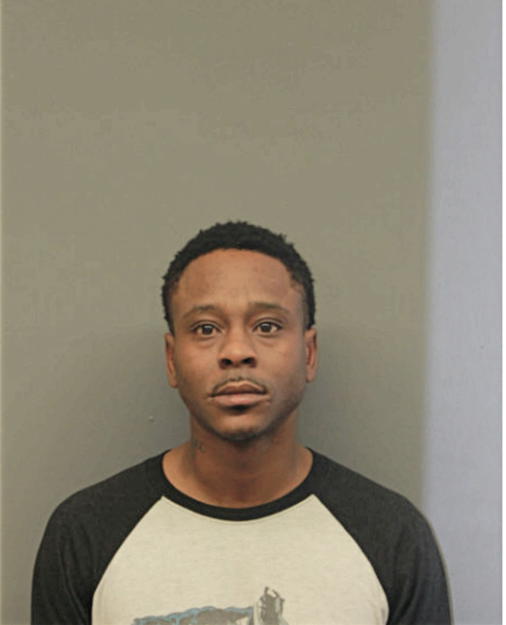 PATRICK A MITCHELL, Cook County, Illinois