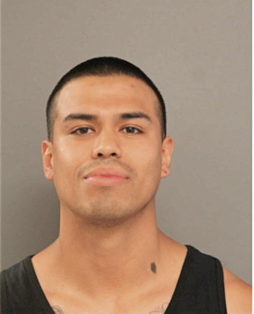 DANIEL A MORALES, Cook County, Illinois