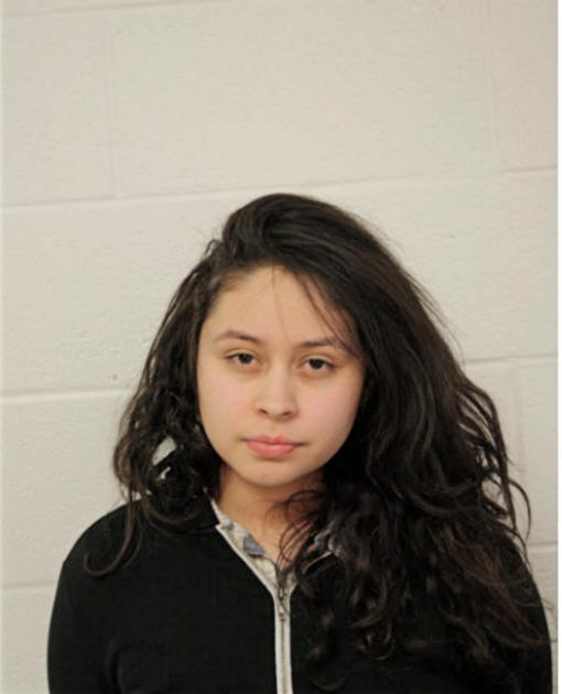 LETICIA NUNEZ-GARCIA, Cook County, Illinois