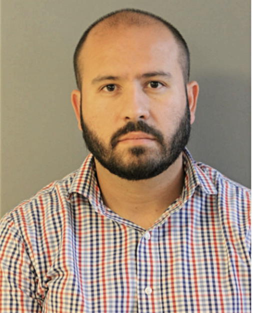 ELVIS ORTEGA, Cook County, Illinois