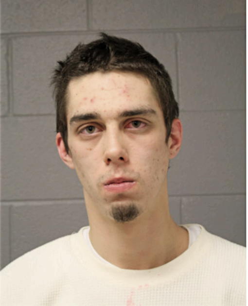 NICHOLAS T RIEDEL, Cook County, Illinois