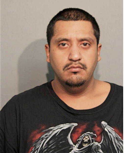 CARLOS ROTIGA, Cook County, Illinois