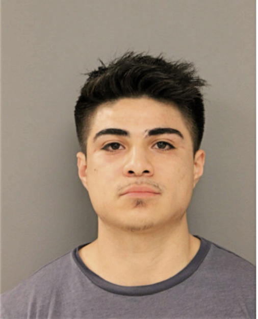 ALEXIS SALAS, Cook County, Illinois
