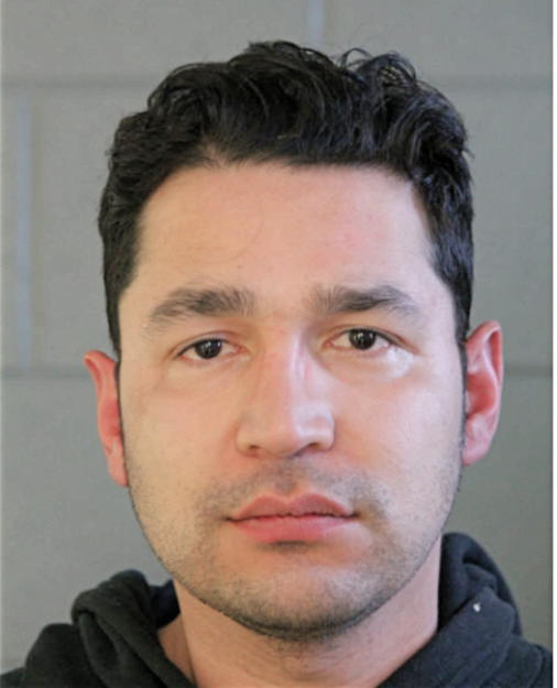 DOMINIC T SEROPIAN, Cook County, Illinois