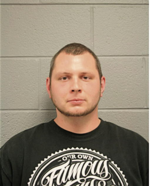 JOSHUA M ZIEMER, Cook County, Illinois