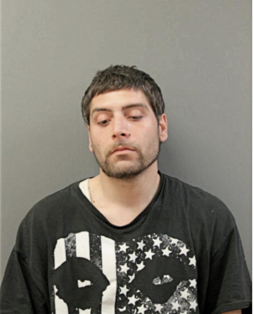 JESSE W ALLEN, Cook County, Illinois