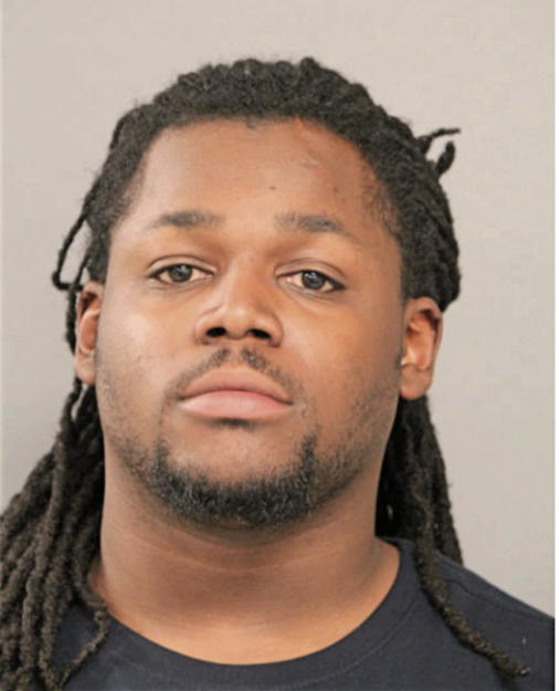 DANTE L ANDERSON, Cook County, Illinois