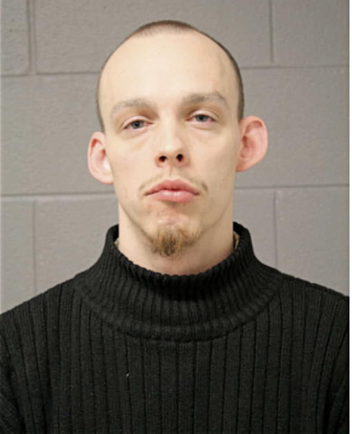 GLYNN E ANDERSON, Cook County, Illinois