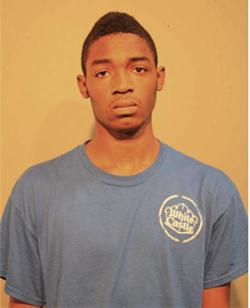 JAMARI L BOLDEN, Cook County, Illinois