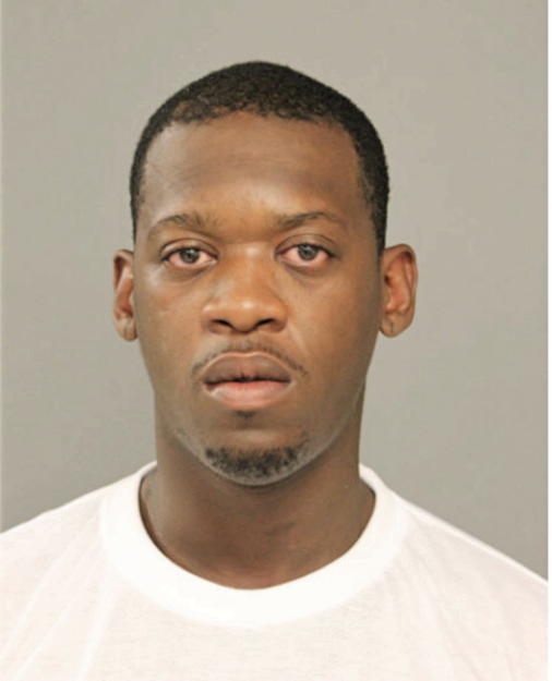 PAUL M BRIDGES, Cook County, Illinois