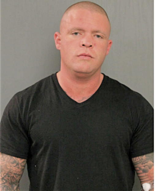 LEONARD A CHRISTENSEN, Cook County, Illinois