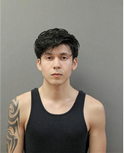 ARMANO CONSTANZA, Cook County, Illinois