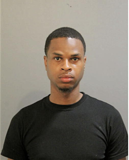 DENIKKO JOHNSON, Cook County, Illinois