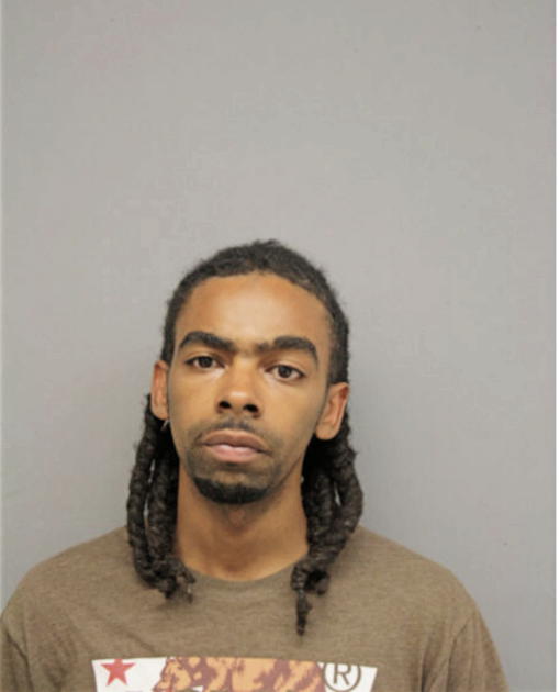 MICHAEL L KING, Cook County, Illinois