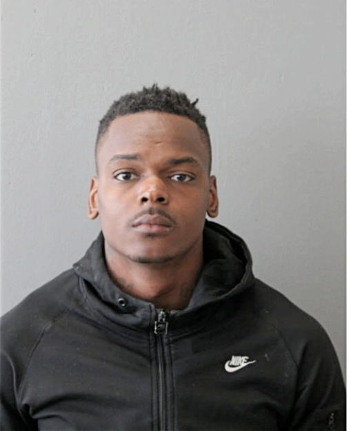 ISSAC L MANNING, Cook County, Illinois