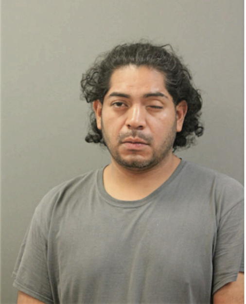 MIGUEL A MARTINEZ, Cook County, Illinois