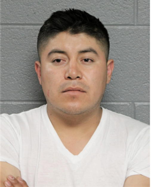 MARIO MEDINA, Cook County, Illinois