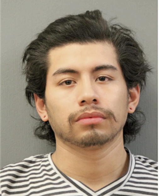 ALEJANDOR NAJERA, Cook County, Illinois