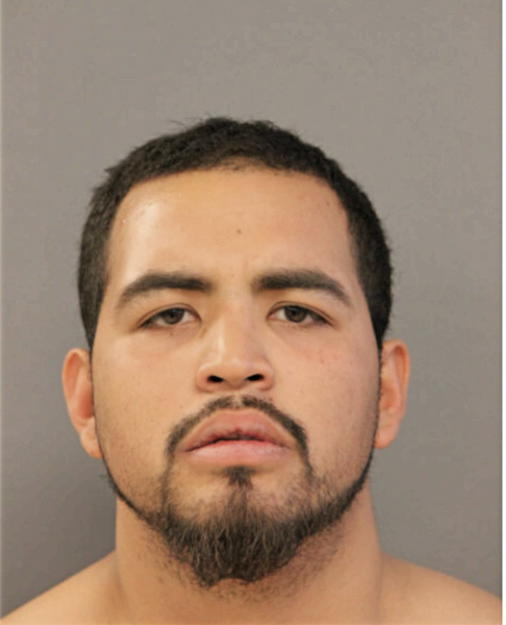 JONATHON M REZA, Cook County, Illinois