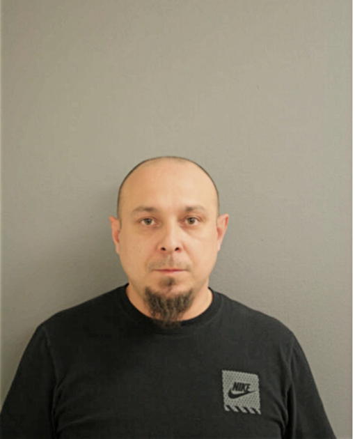 CRISTIAN G TELTEU, Cook County, Illinois
