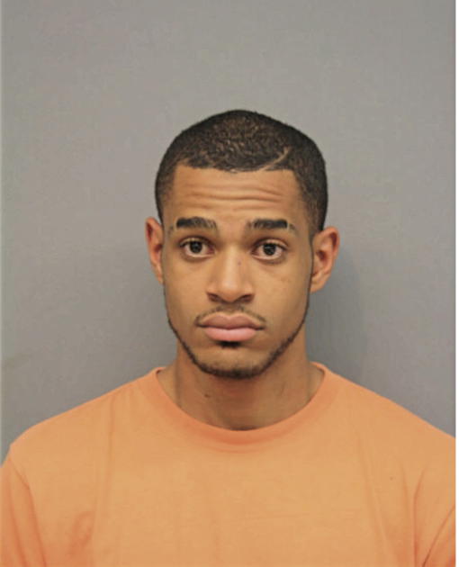 DAVID N THOMAS, Cook County, Illinois