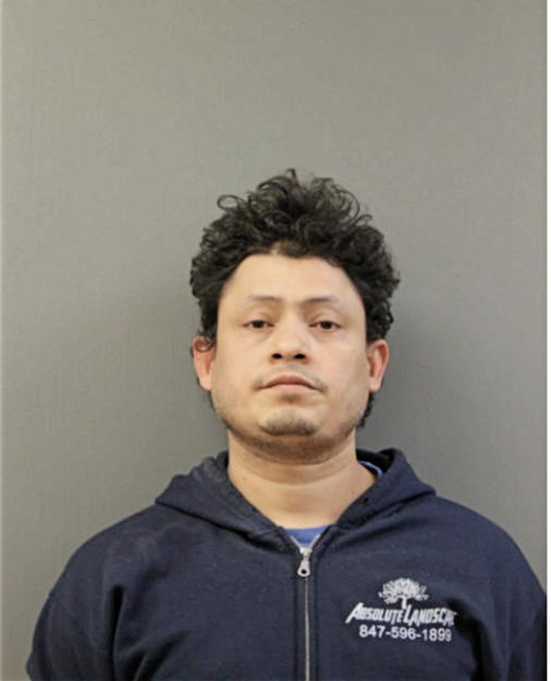 VICTOR D ALAS GUEVARA, Cook County, Illinois