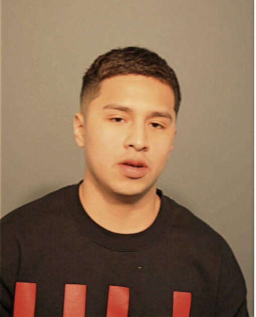 PEDRO BAHENA, Cook County, Illinois