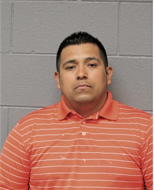 FIDEL H BASURTO, Cook County, Illinois