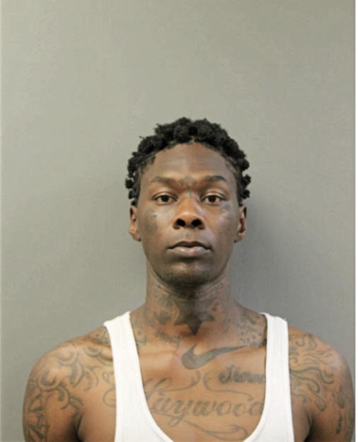 KENNETH D HAYWOOD, Cook County, Illinois