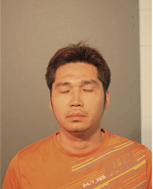 LIU V DANG, Cook County, Illinois