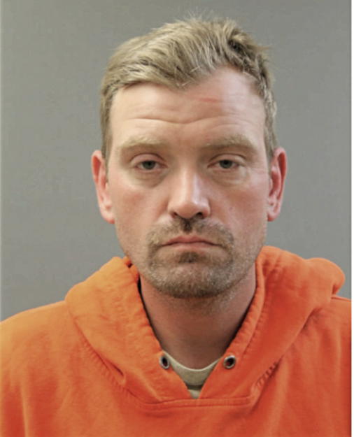 DAVID L DENISON, Cook County, Illinois