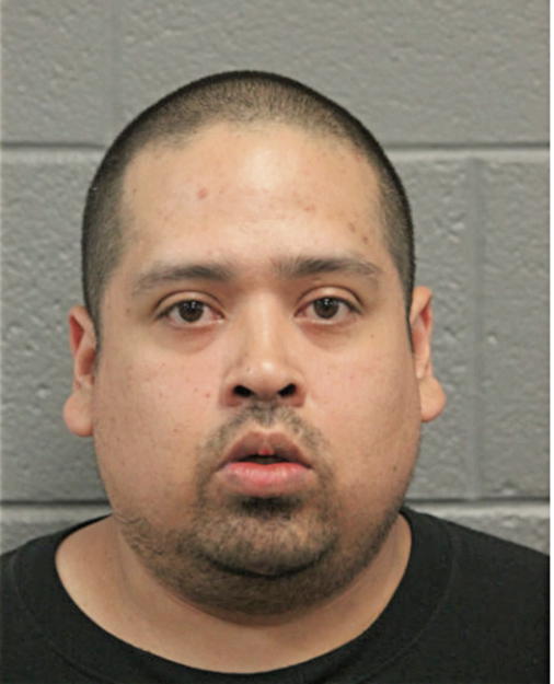 RAYMUNDO L FLORES, Cook County, Illinois