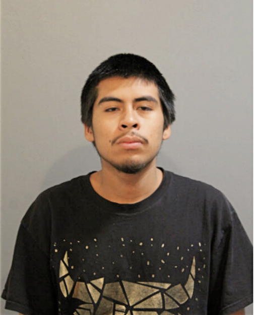 GIOVANNY GRANDADOS, Cook County, Illinois
