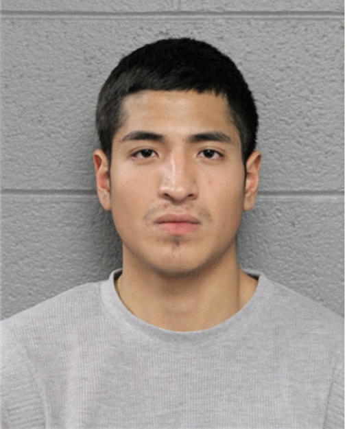 GERARDO GUZMAN, Cook County, Illinois